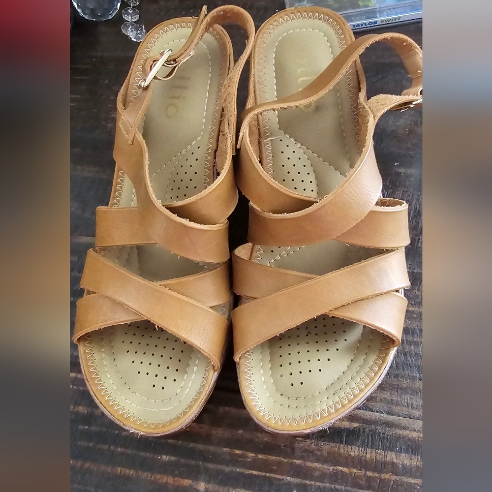 Ollio Wedge